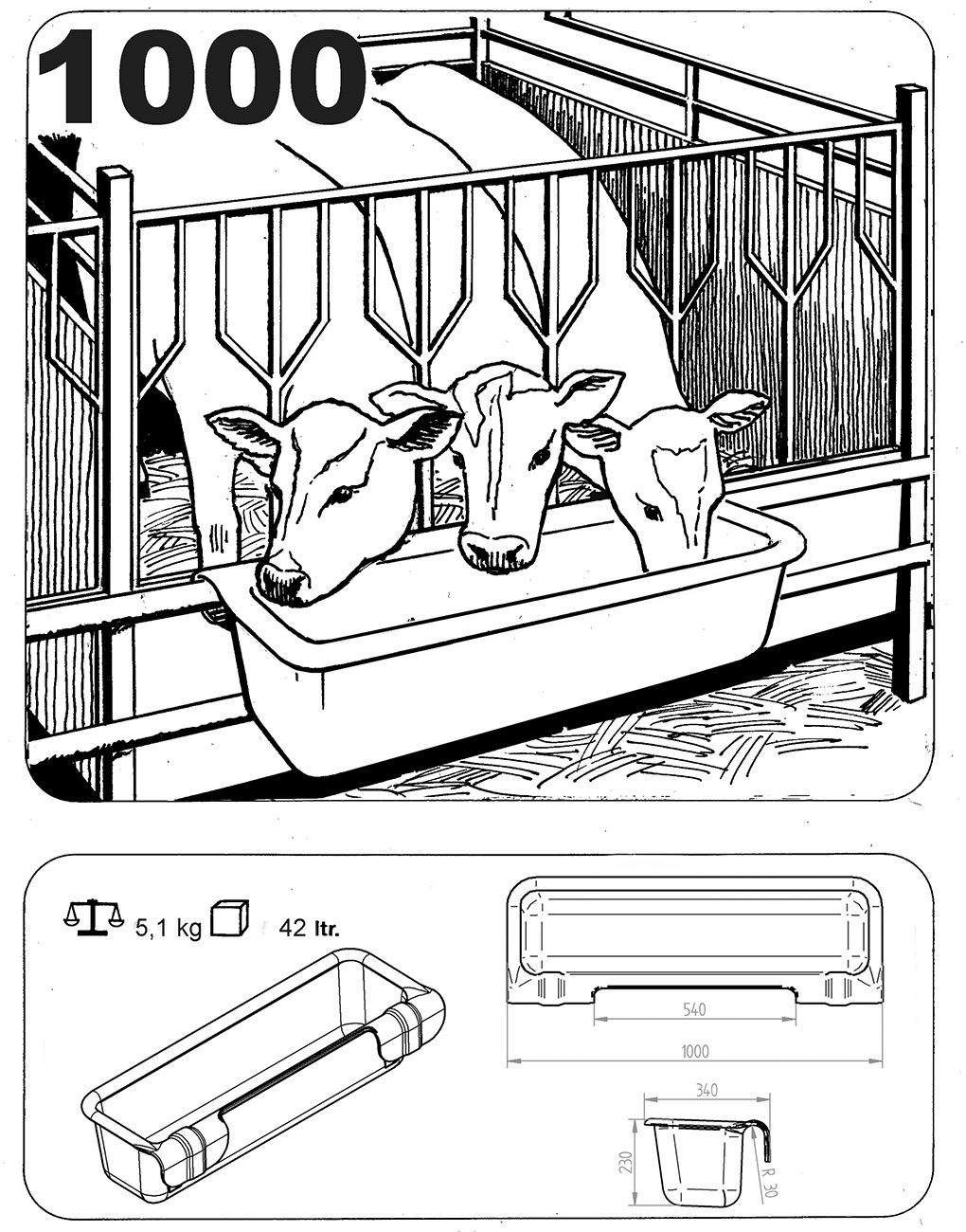 Tier, Vieh, Kuh, Säugetier