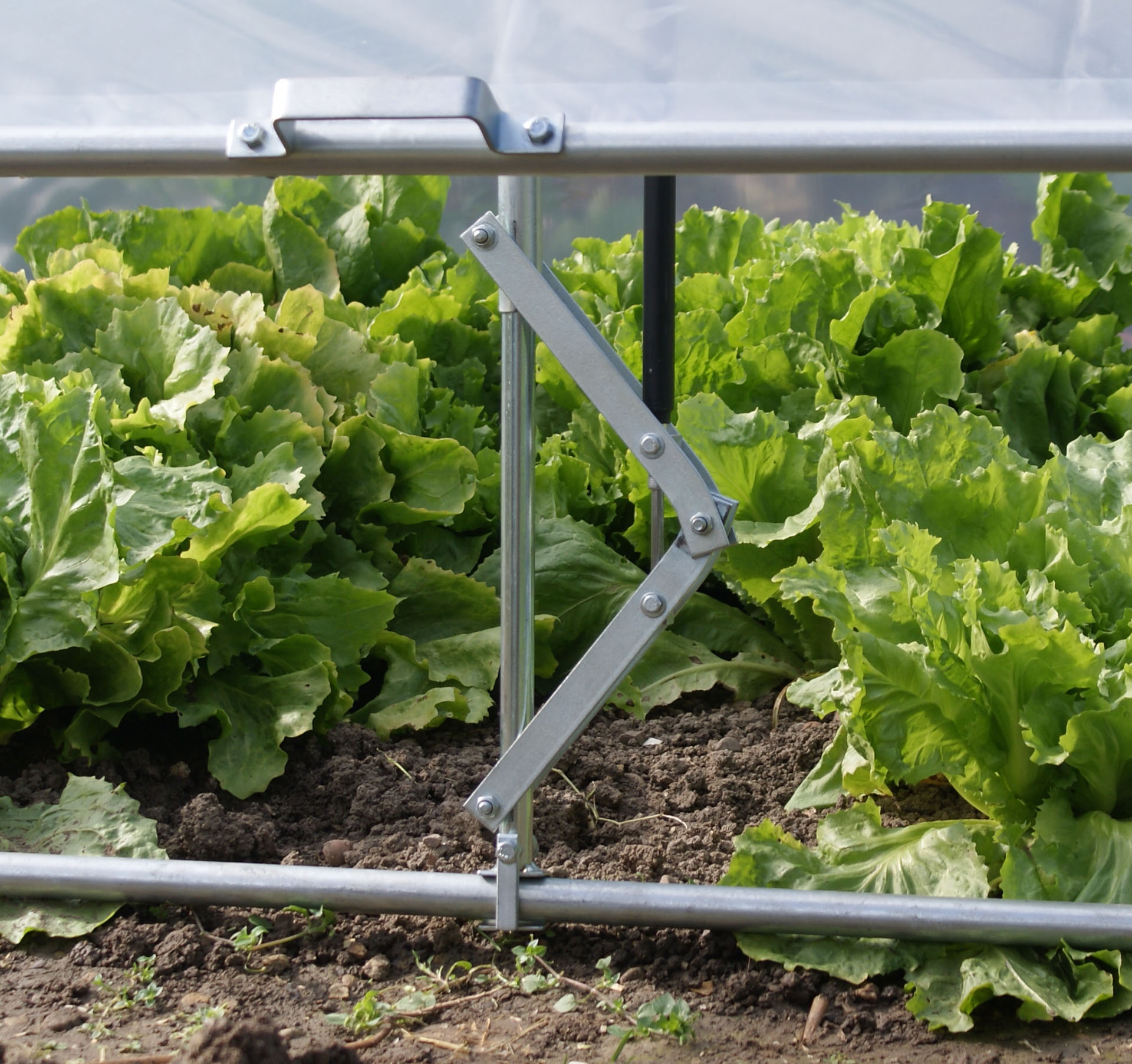 Automatischer Öffner zu Frühbeethaube 