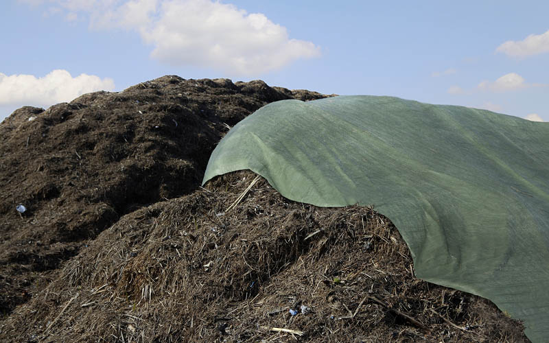 Boden, Natur, Draußen, Feld, Grünland