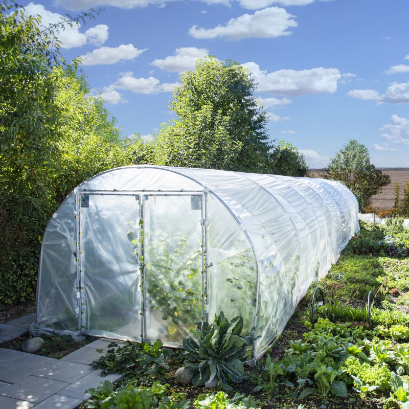 Folientunnel RÖMI® StartUp 