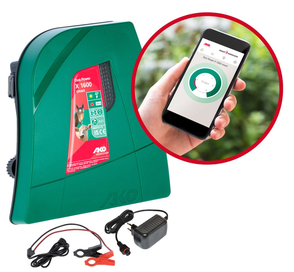 Elektronik, Handy, Telefon, Hund, Person